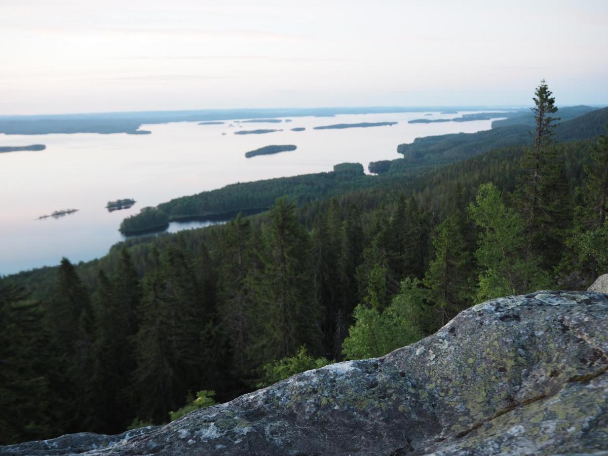 Aava Koli Villa Kolinkylä Exteriör bild
